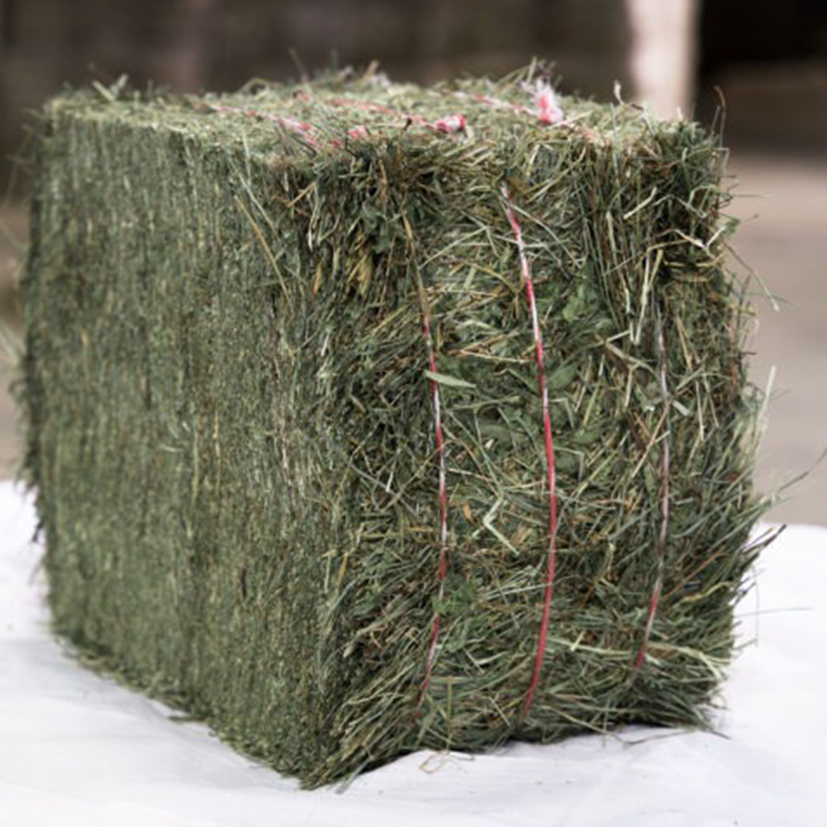 Crau Hay product image
