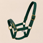 St.Hippolyt Foal Halter product image